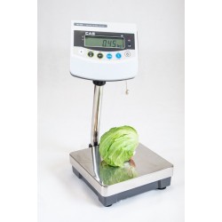 Waga wodoodporna CAS BW-1N